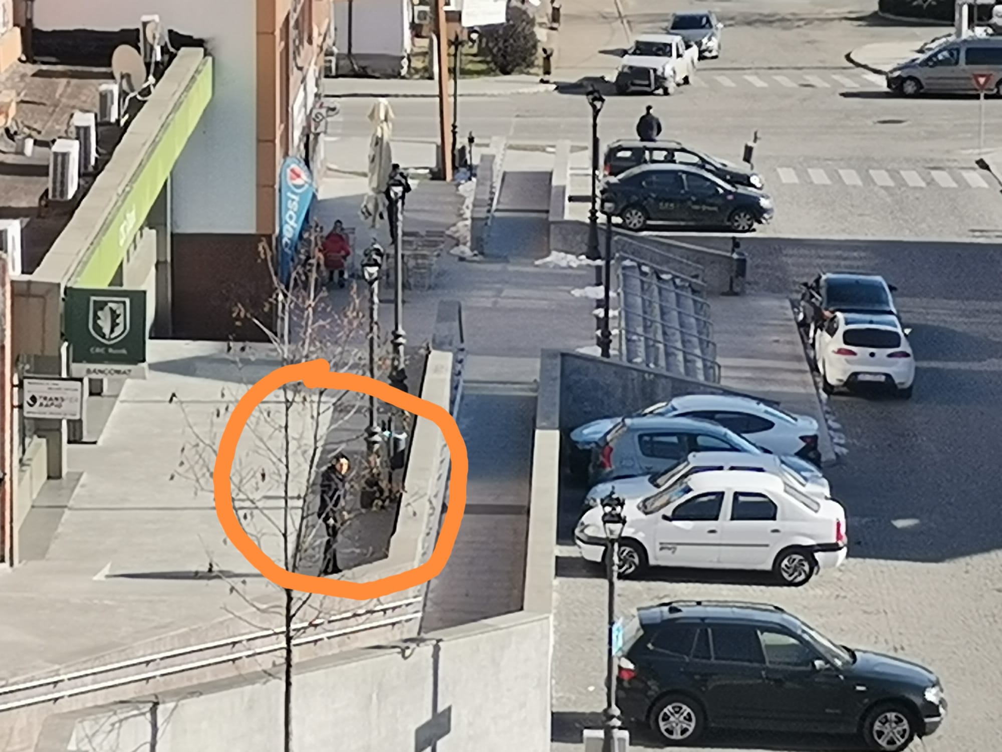 Urlete și țipete! Femeia supărată pe toți polițiștii din Câmpulung